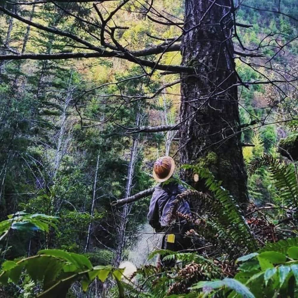 Meet your Posher, Lafe